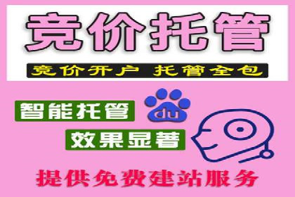 行业首例：SEM推广竞价代运营的突破与挑战